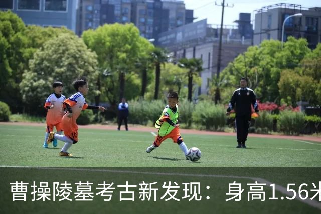 曹操陵墓考古新发现：身高1.56米，口腔健康堪忧