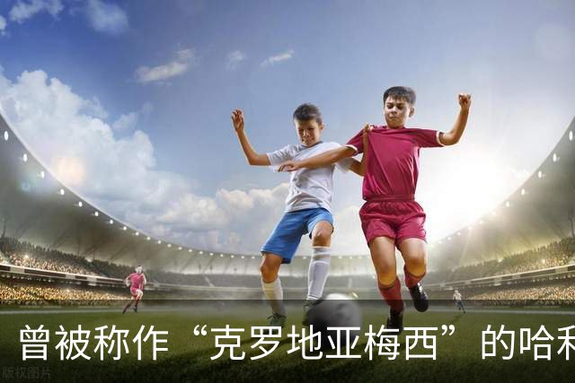 曾被称作“克罗地亚梅西”的哈利洛维奇现为自由球员